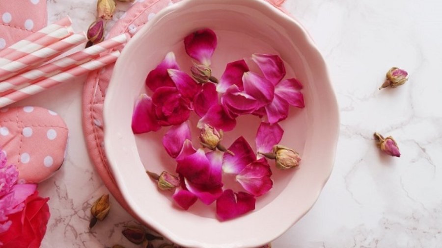 What are the Benefits of drinking Rose Water